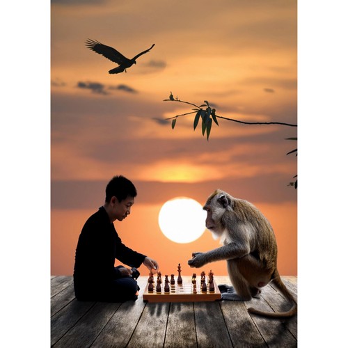 Postkarte schach junge - schach,